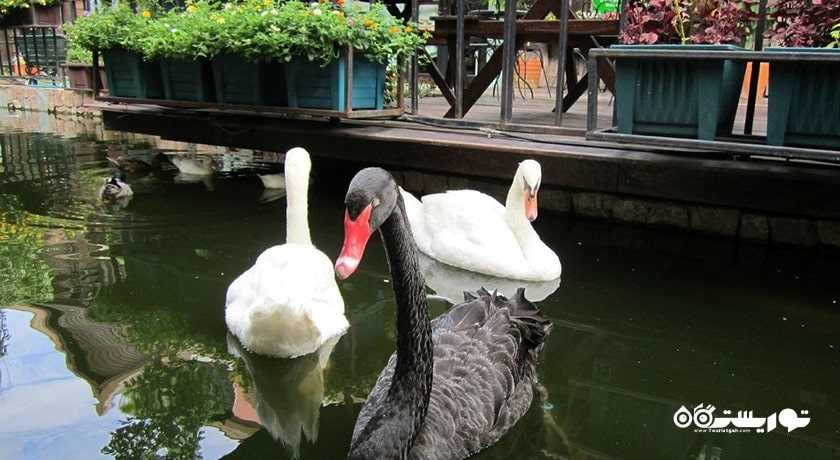 مرکز خرید مرکز خرید میموسا شهر تایلند کشور پاتایا