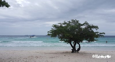 سرگرمی ساحل تیئن شهر تایلند کشور پاتایا