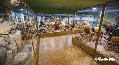 موزه تاریخ طبیعی -  شهر وارنا