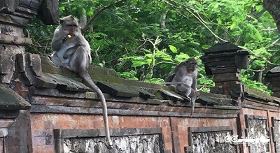 معبد اولوواتو -  شهر بالی