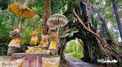 بونوت بولونگ در جمبرانا -  شهر بالی