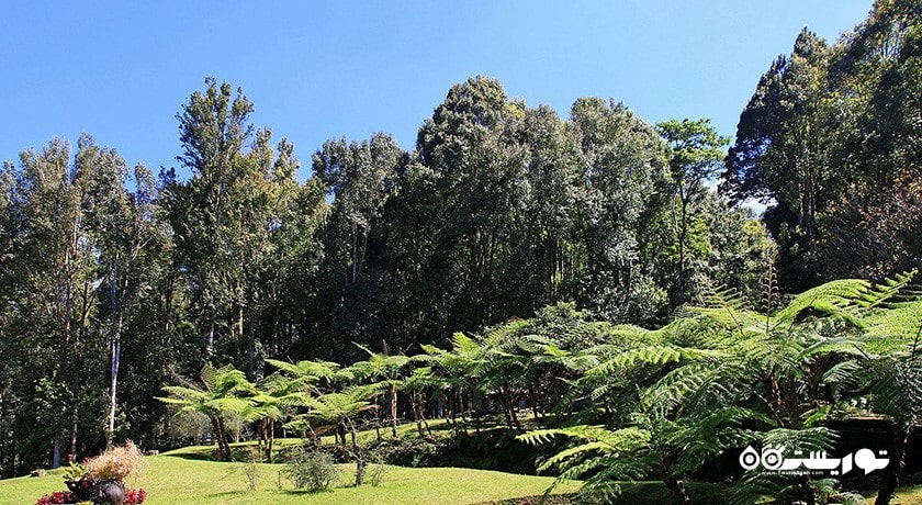  باغ گیاه شناسی بالی شهر اندونزی کشور بالی