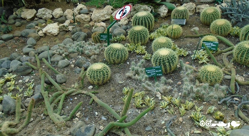  باغ گیاه شناسی بالی شهر اندونزی کشور بالی