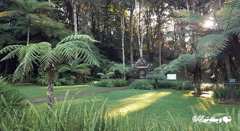  باغ گیاه شناسی بالی شهر اندونزی کشور بالی