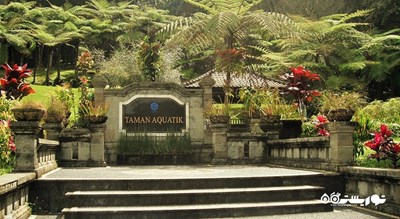  باغ گیاه شناسی بالی شهر اندونزی کشور بالی