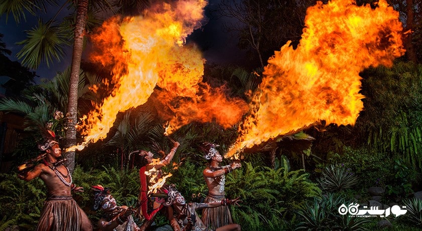 سرگرمی باغ وحش بالی شهر اندونزی کشور بالی