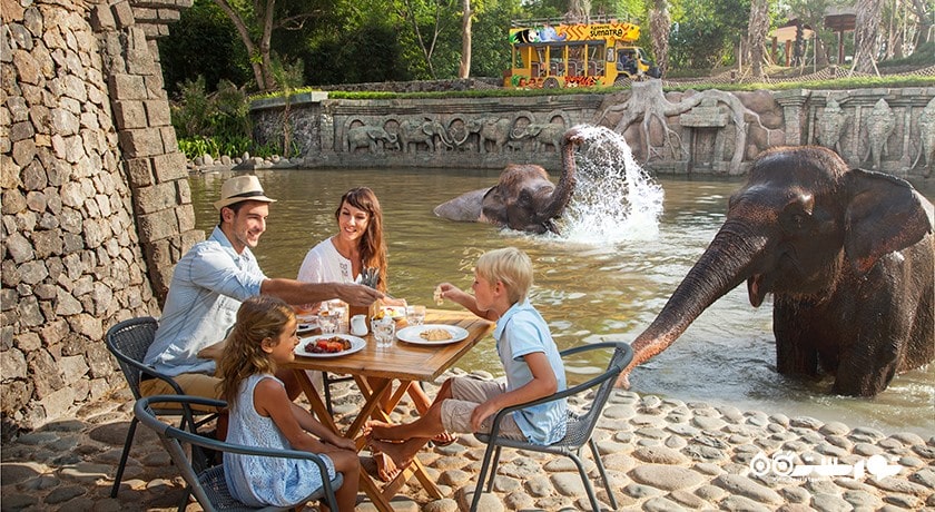 سرگرمی باغ وحش بالی شهر اندونزی کشور بالی