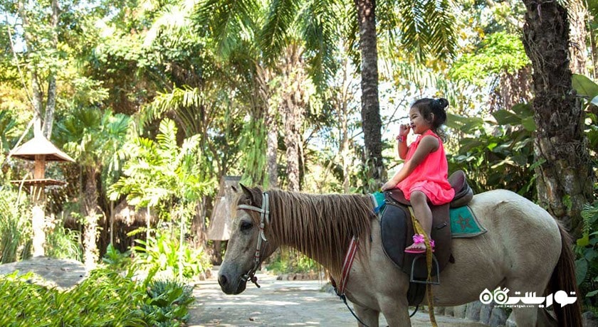 سرگرمی باغ وحش بالی شهر اندونزی کشور بالی