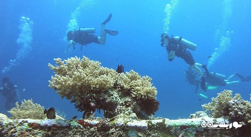 سرگرمی غواصی در بالی شهر اندونزی کشور بالی