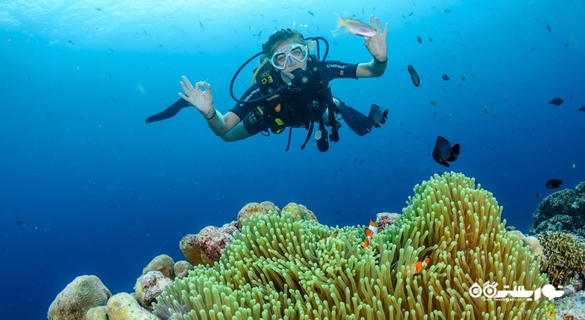 سرگرمی غواصی در بالی شهر اندونزی کشور بالی
