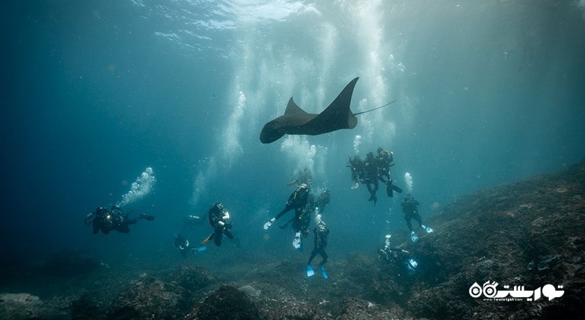 سرگرمی غواصی در بالی شهر اندونزی کشور بالی