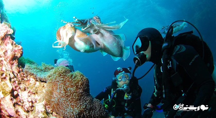 سرگرمی غواصی در بالی شهر اندونزی کشور بالی