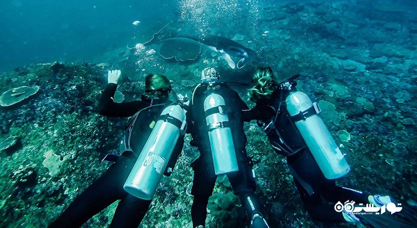 سرگرمی غواصی در بالی شهر اندونزی کشور بالی