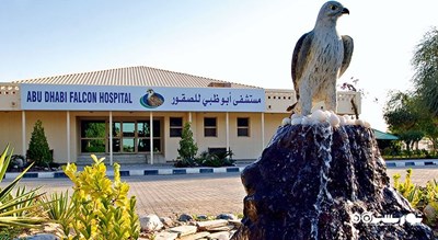 بیمارستان شاهین ابوظبی شهر امارات متحده عربی کشور ابوظبی