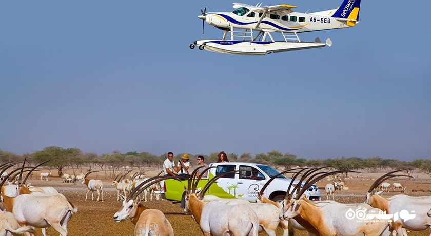  جزیره سر بنی یاس شهر امارات متحده عربی کشور ابوظبی