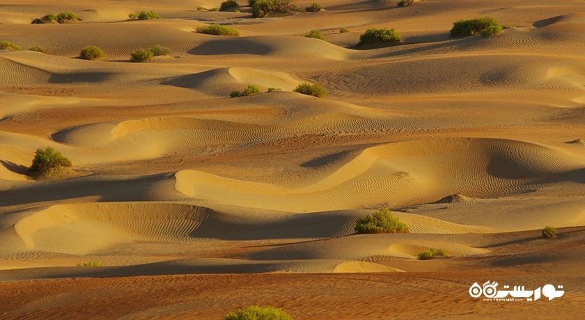  واحه لیوا شهر امارات متحده عربی کشور ابوظبی