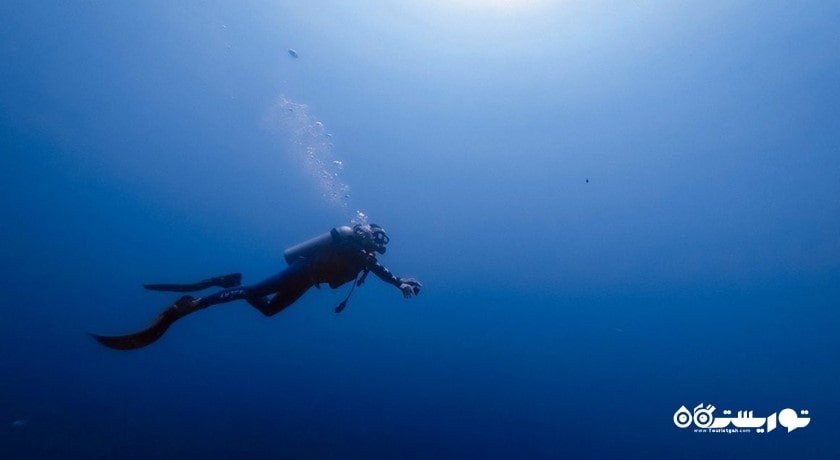 سرگرمی غواصی در المهاره شهر امارات متحده عربی کشور ابوظبی