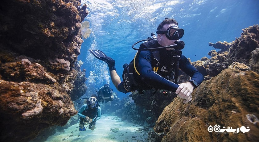 سرگرمی غواصی در المهاره شهر امارات متحده عربی کشور ابوظبی