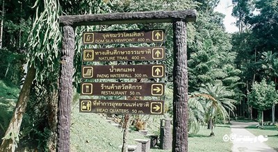  آبشار پائنگ شهر تایلند کشور کو سامویی