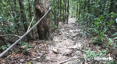  آبشار پائنگ شهر تایلند کشور کو سامویی