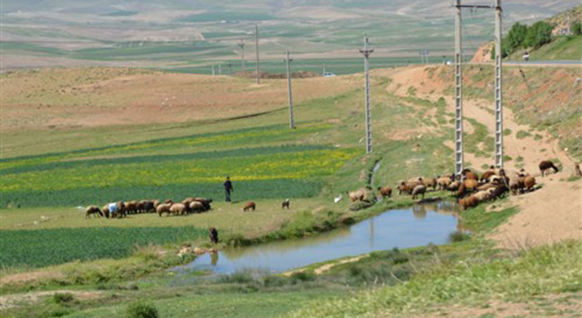  مشهد کاوه شهرستان اصفهان استان اصفهان