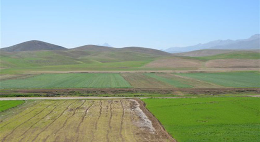  مشهد کاوه شهرستان اصفهان استان اصفهان