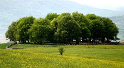  روستای ورند شهرستان مازندران استان ساری
