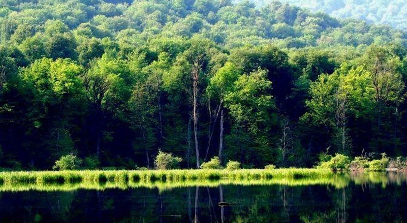  تالاب سراندون و بالندون شهرستان مازندران استان ساری