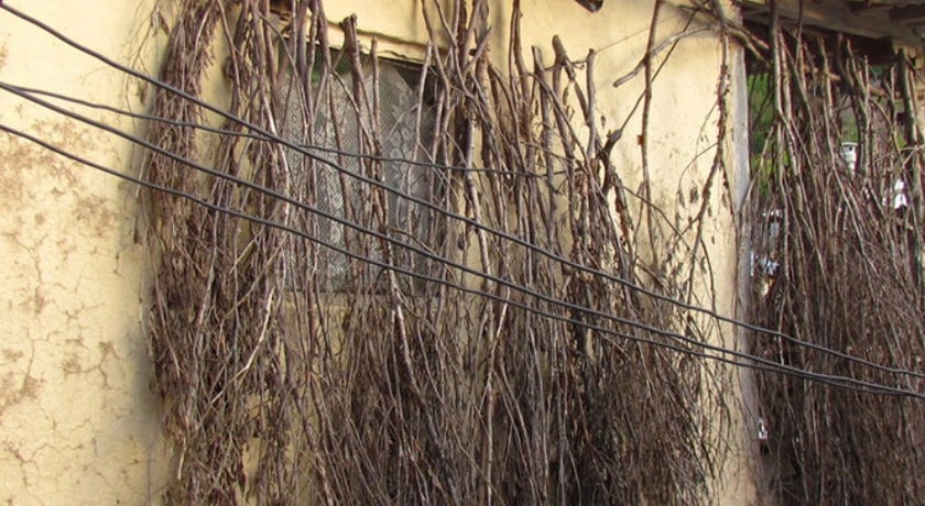  روستای جمال الدین کلا شهرستان مازندران استان ساری