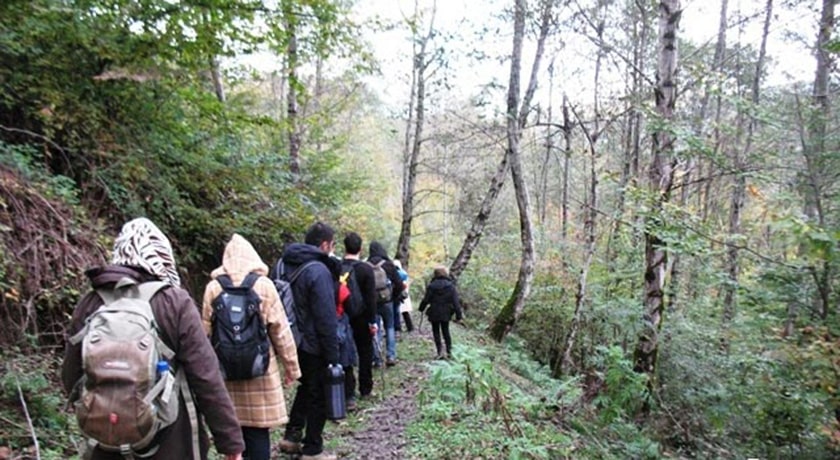  جنگل لاجیم شهرستان مازندران استان شیرگاه