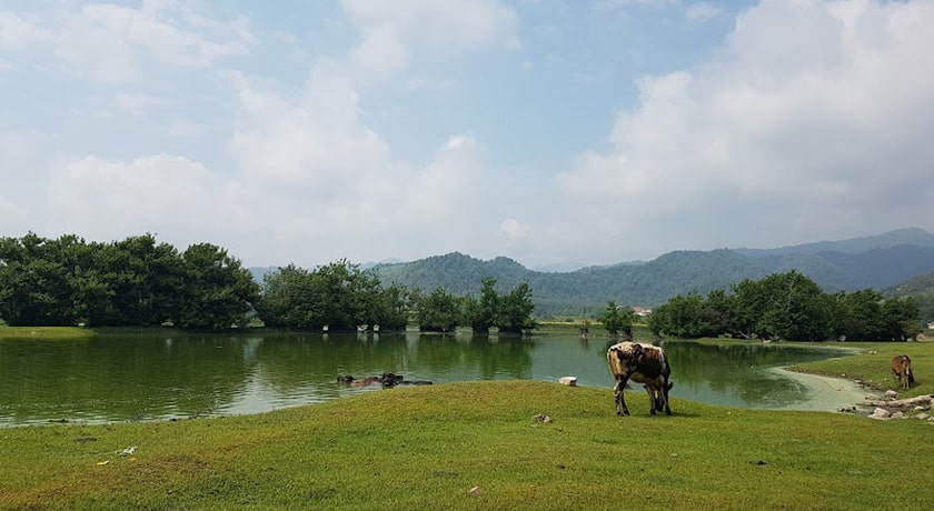  تالاب استیل شهرستان گیلان استان آستارا