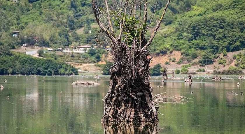  تالاب استیل شهرستان گیلان استان آستارا