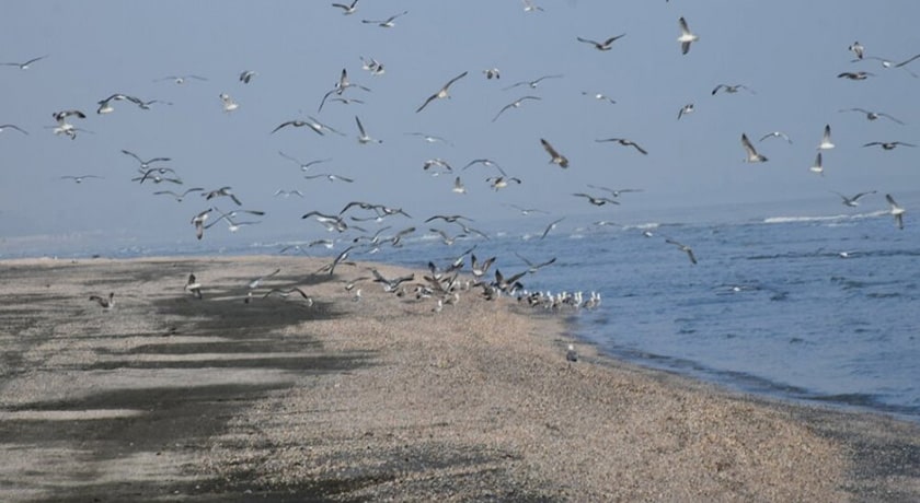 ساحل صدف -  شهر آستارا