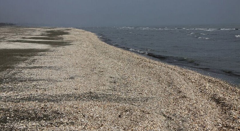  ساحل صدف شهرستان گیلان استان آستارا