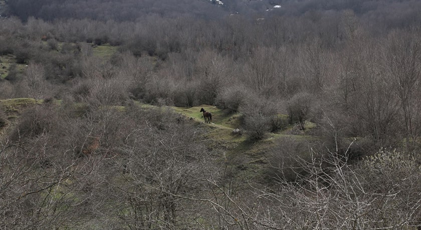 روستای کمر پشت -  شهر پل سفید