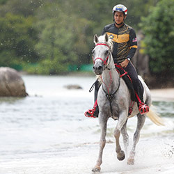اسب سواری در لنکاوی