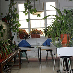 موزه گیاه شناسی دانشگاه تهران (هرباریوم مرکزی دانشگاه تهران)