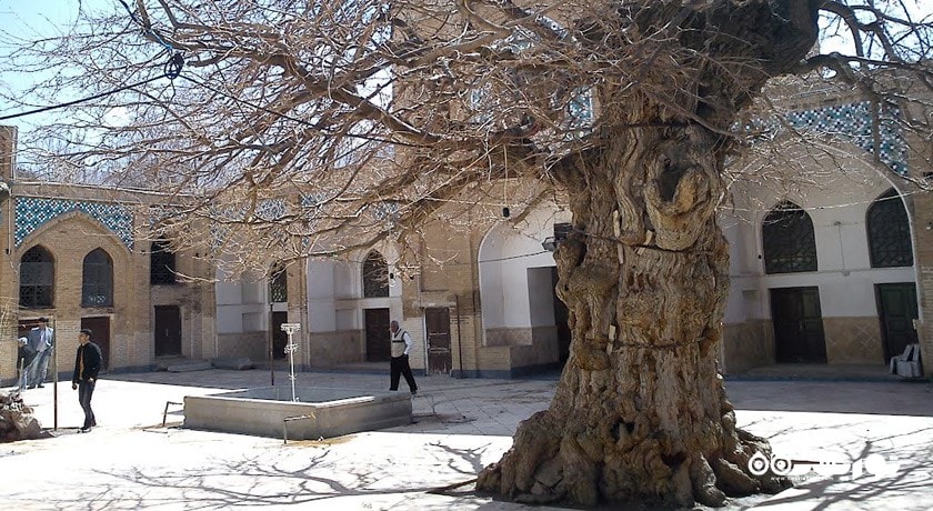 استان مرکزی در کشور ایران - توریستگاه