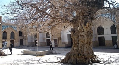 استان مرکزی در کشور ایران - توریستگاه