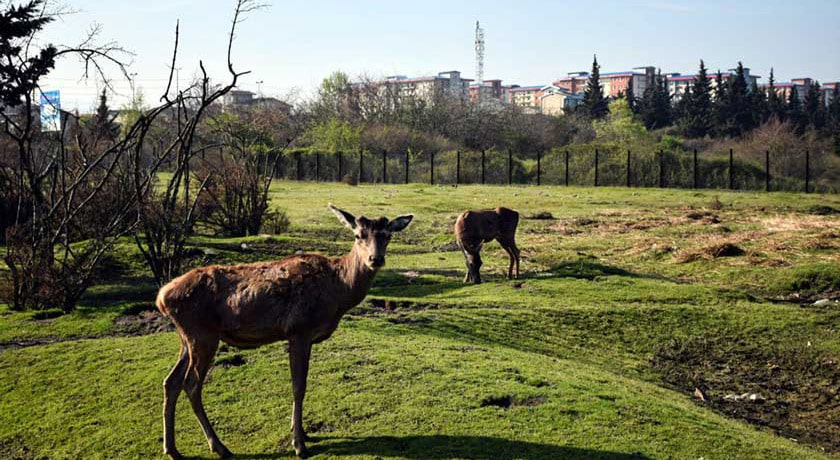 شهر آستارا در استان گیلان - توریستگاه