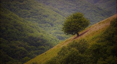 شهر آستارا در استان گیلان - توریستگاه