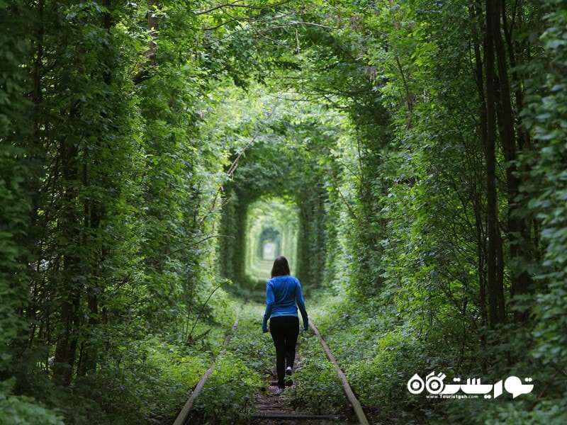 تونل عشق اوکراین یک گذرگاه طبیعی رمانتیک 