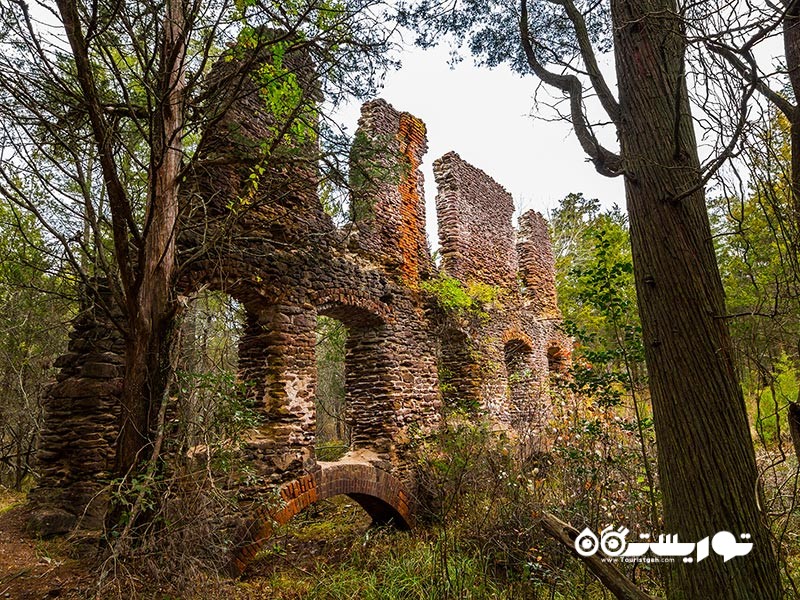 پاین بِرِنس (Pine Barrens)، نیوجرسی
