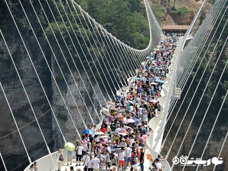 بازدیدکنندگان در امتداد پل شیشه ای ژنگاجیا گرند کانیون