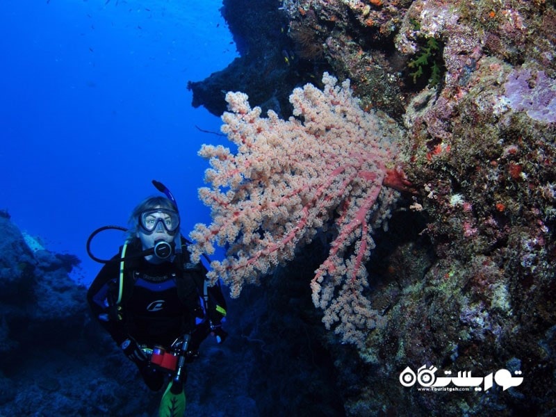 1- صخره نورمان (Norman Reef)، استرالیا