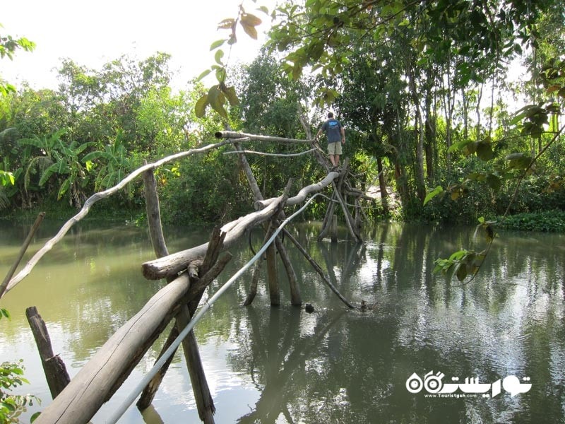 7- پل های میمون، ویتنام (The Monkey Bridges of Vietnam)