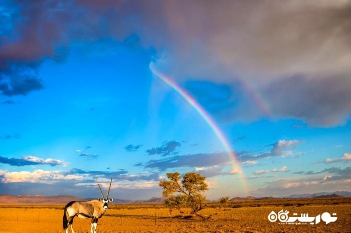 نامیبیا (Namibia)