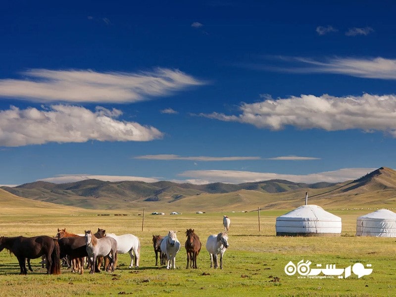 3. مغولستان تاریخ غنی، مردم محلی صمیمی و مناظر چشمگیر