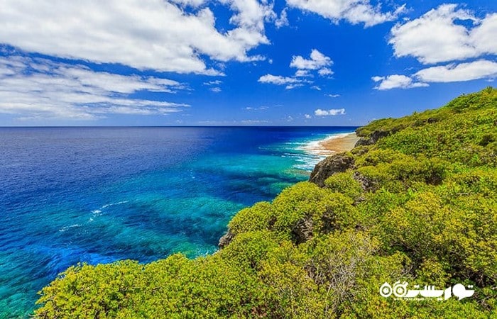10. نیووی (Niue) جزیره برتر در مثلث پولینزی