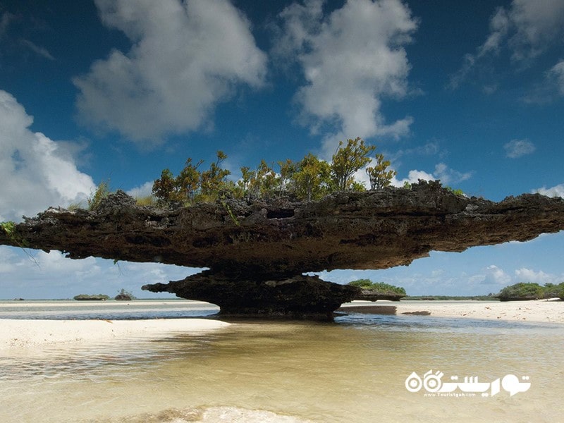 16. جزیره مرجانی حلقوی آلدابرا (Aldabra Atoll)